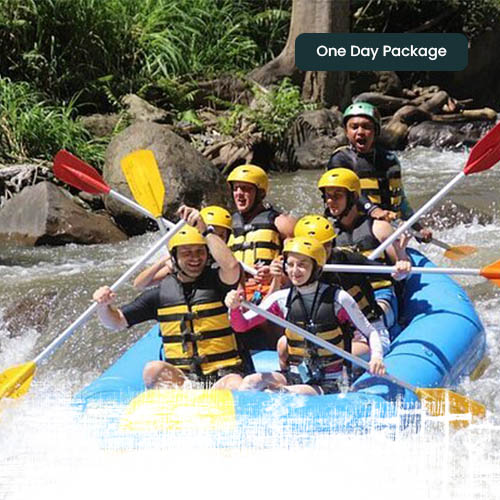 Paket One Day - Anak Pulau - 1