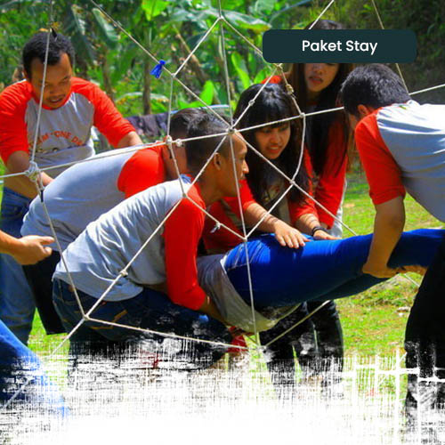 Paket Stay - Anak Pulau - 3